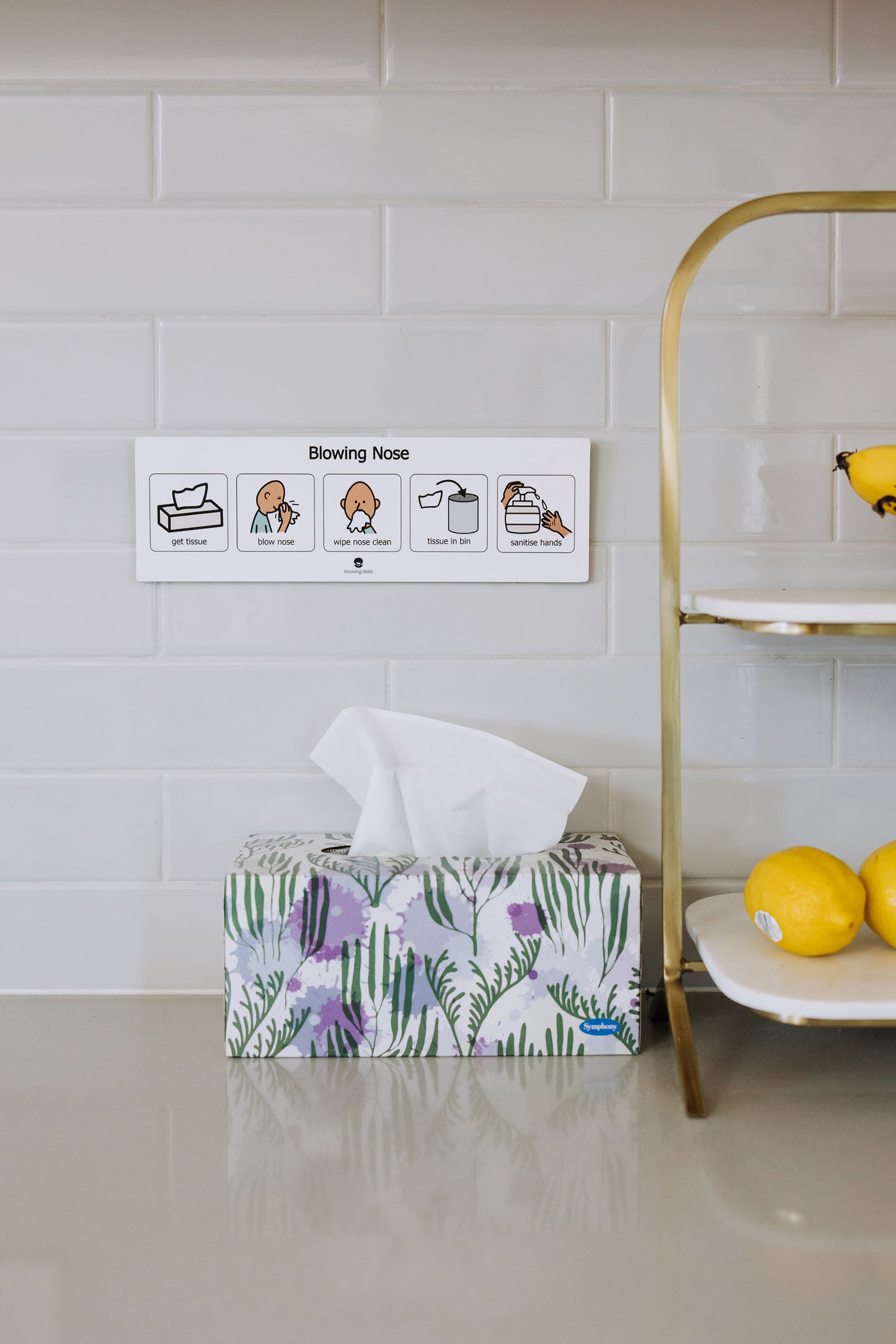 Blowing Nose Visual Aid Support